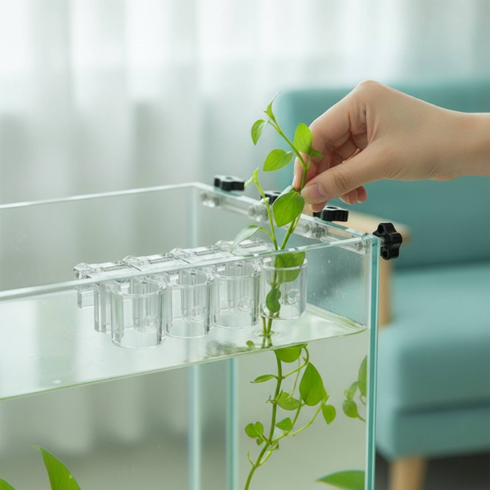 6 Pieces Aquarium Planter Clea - Aquarium Plants recension och pris