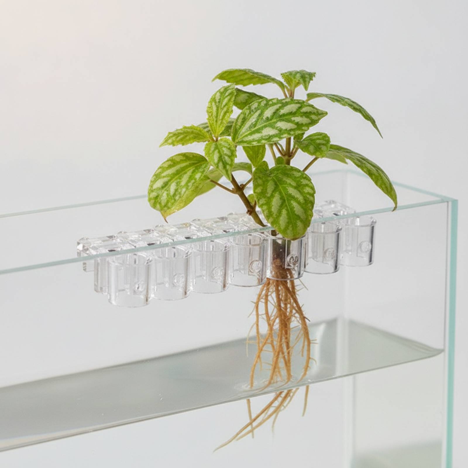 6 Pieces Aquarium Planter Clea - Aquarium Plants recension och pris