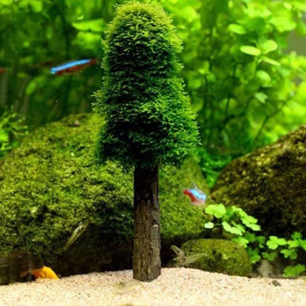Simulation Christmas Tree Aqua - Aquarium Planted Background recension och pris