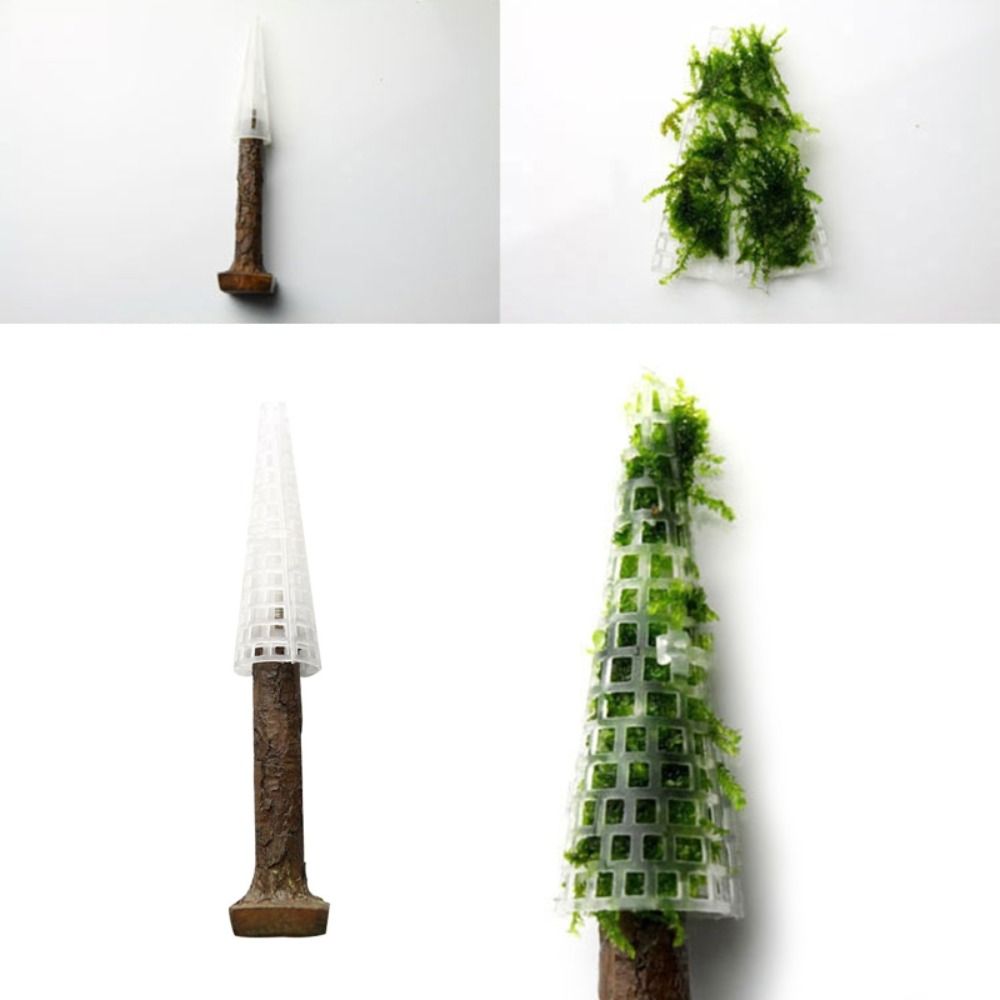 Simulation Christmas Tree Aqua - Aquarium Planted Background recension och pris