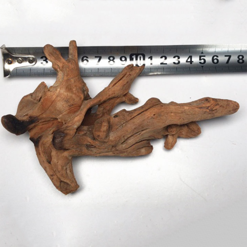 Natural Tree Trunk Aquarium De - Aquarium Plant Root Tabs recension och pris