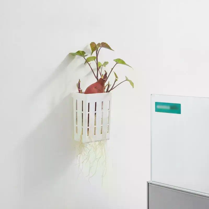 1Pcs Hydroponic Support Basket - Planted Aquarium With Fish recension och pris