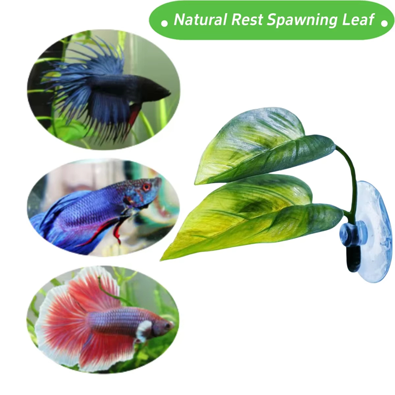 Aquarium Pet Supplies Decorati - Planted Aquarium With Fish recension och pris