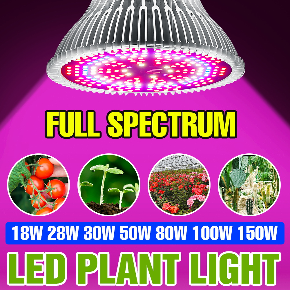 150W E27 Full Spectrum Plant B - Aquarium Plant Root Tabs recension och pris