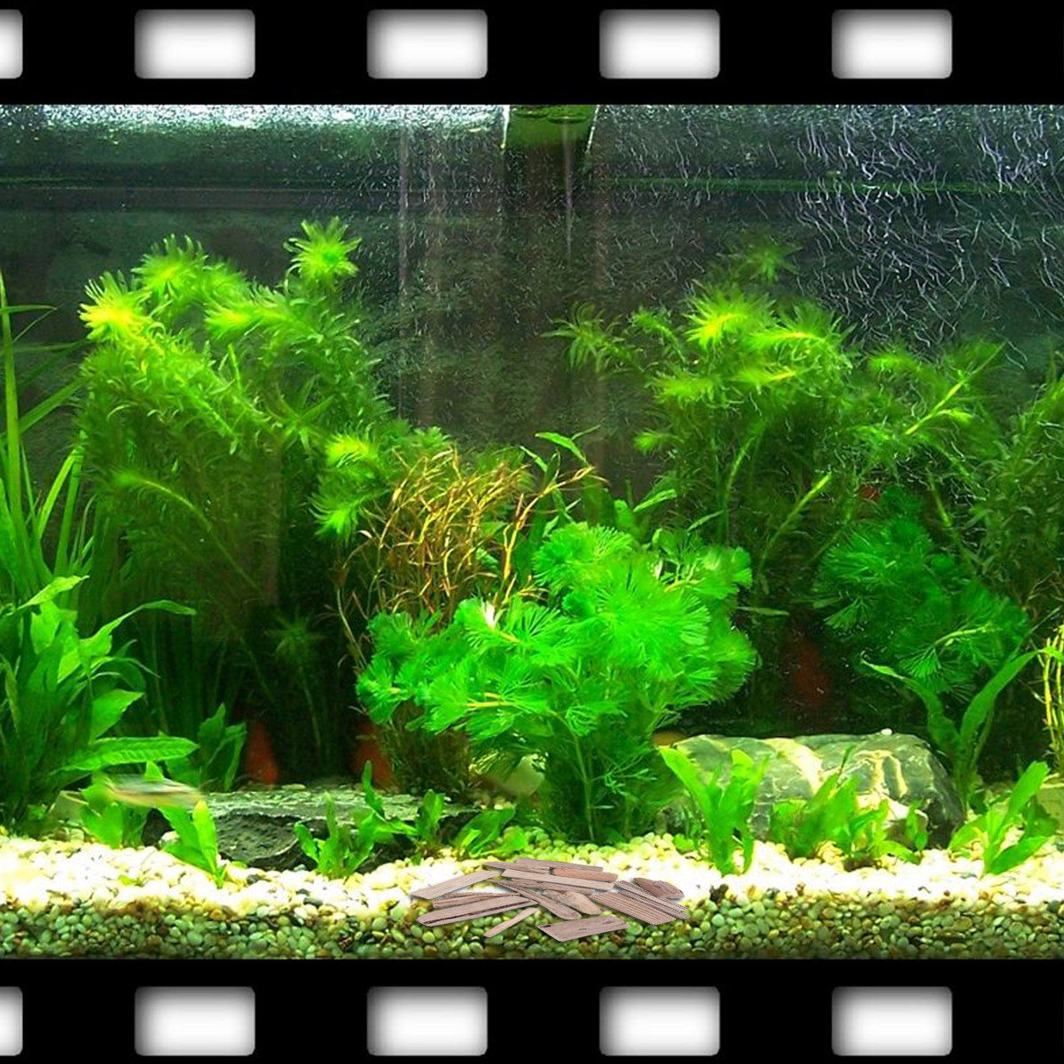 30Pcs Driftwood Fish Tank Deco - Planted Aquarium Ph recension och pris
