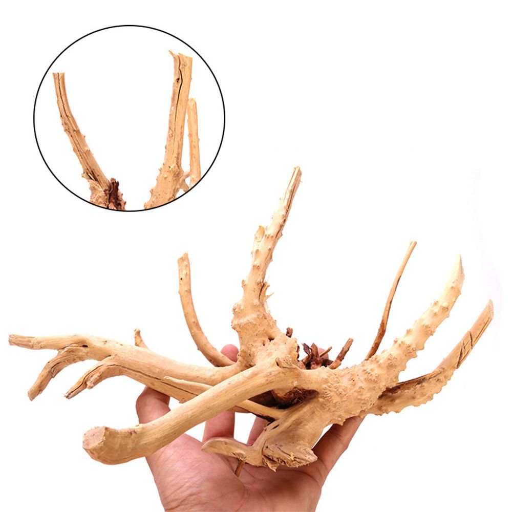 1 Pcs Wood Natural Trunk Drift - Aquarium Plant Root Tabs recension och pris