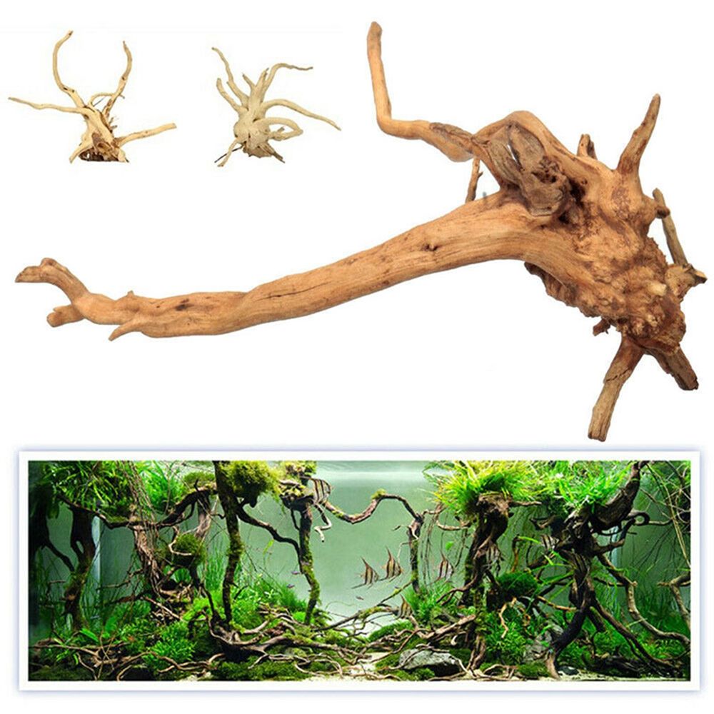 1 Pcs Wood Natural Trunk Drift - Aquarium Plant Root Tabs recension och pris