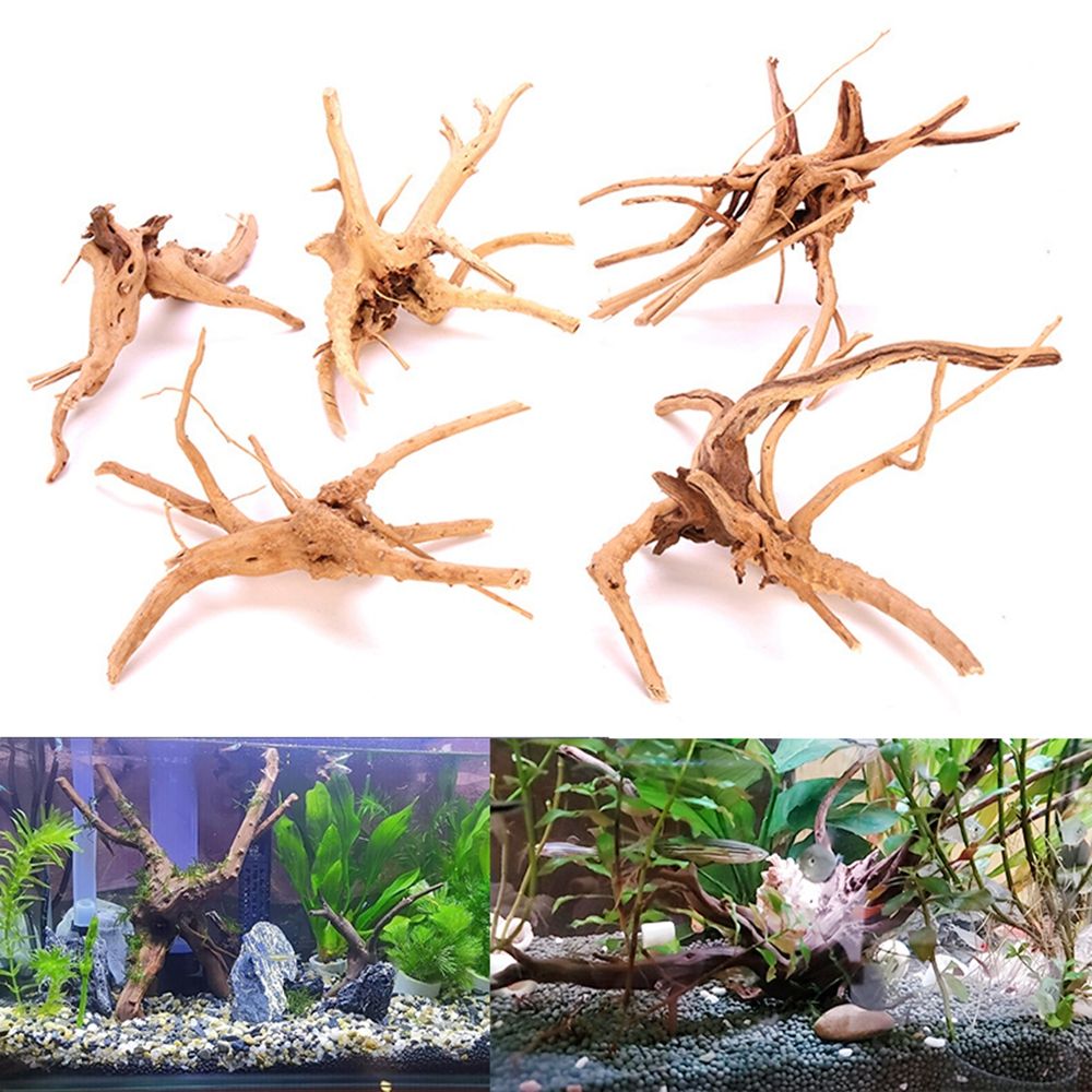 1 Pcs Wood Natural Trunk Drift - Aquarium Plant Root Tabs recension och pris