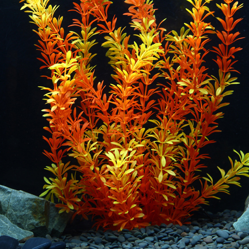 100cm Tropical Plants Large Ar - Planted Aquarium With Fish recension och pris