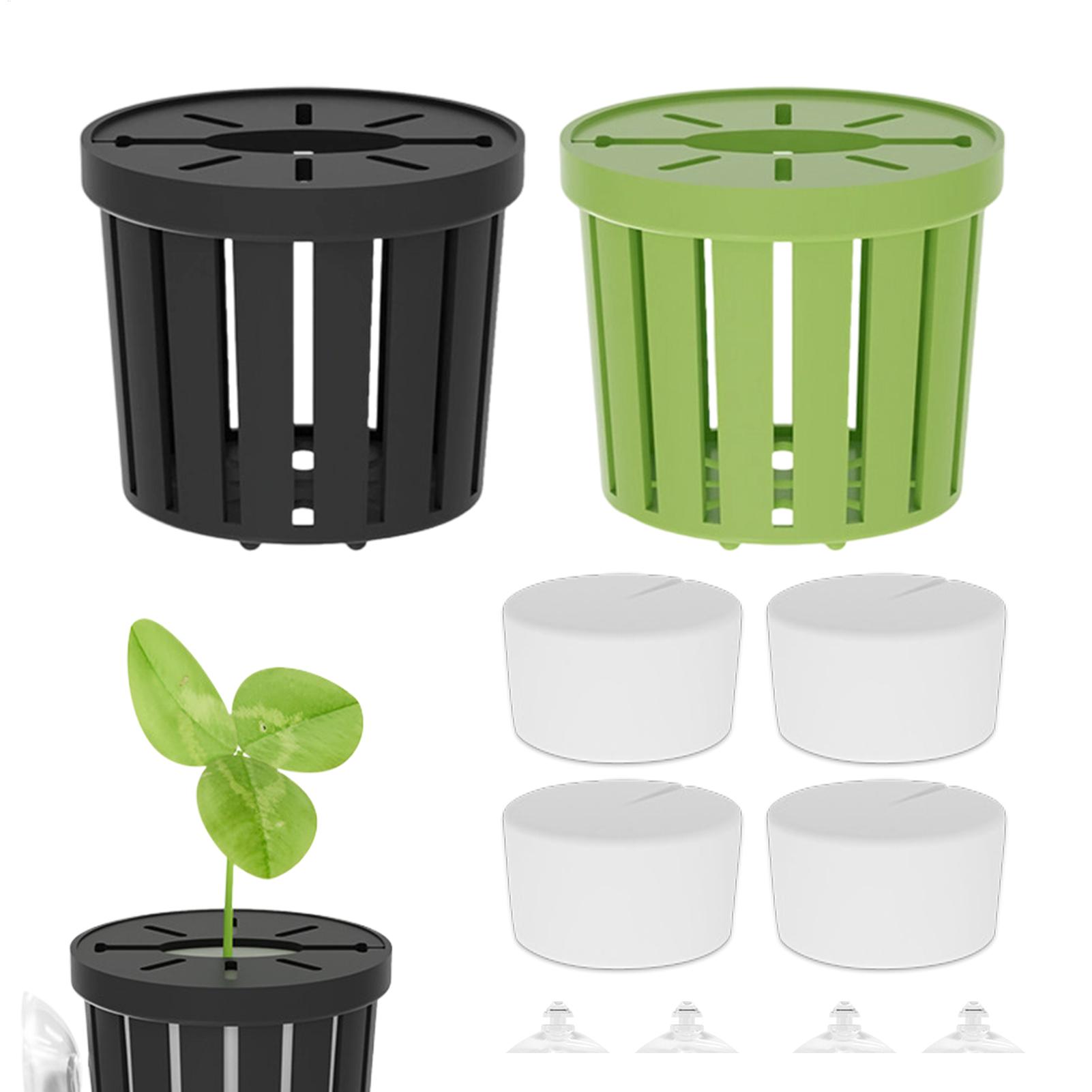 4Pcs Aquatic Plants Fixed Set  - Aquarium Planted Background recension och pris