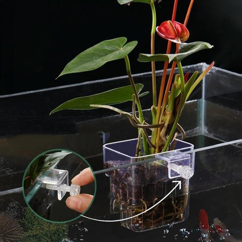 Clear Hangable Aquarium Plant  - Aquarium Plant Easy To Grow recension och pris