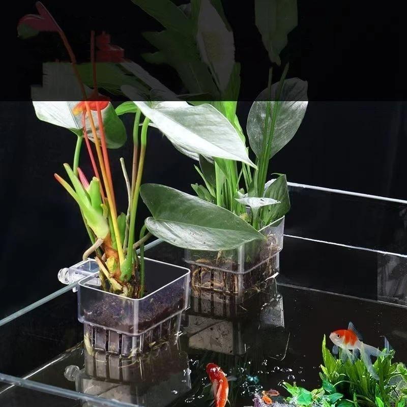 Clear Hangable Aquarium Plant  - Aquarium Plant Easy To Grow recension och pris