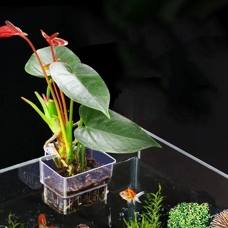 Clear Hangable Aquarium Plant  - Aquarium Plant Easy To Grow recension och pris