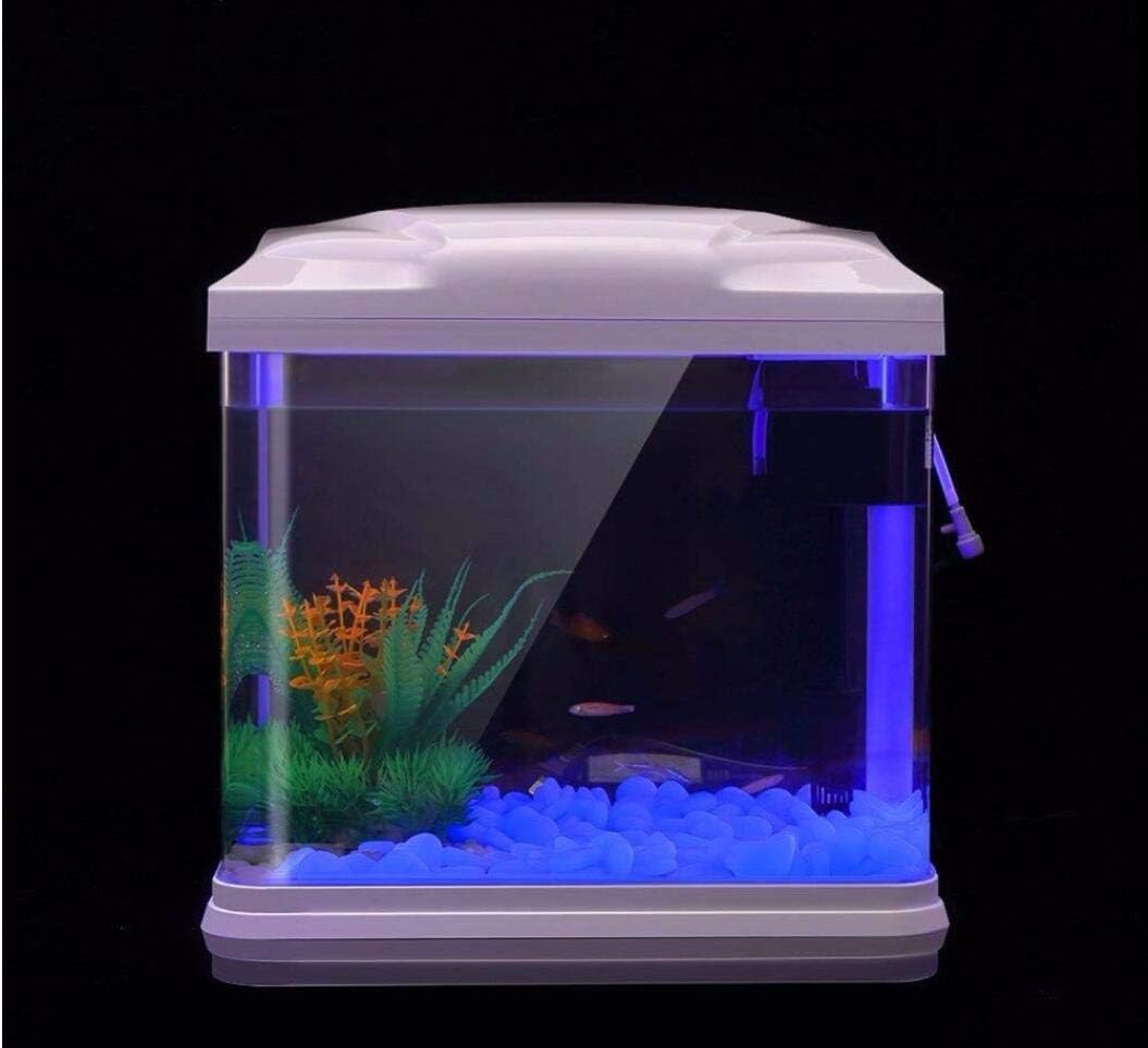 Fish Tank Rocks Glow Blue Pebb - Planted Aquarium With Fish recension och pris