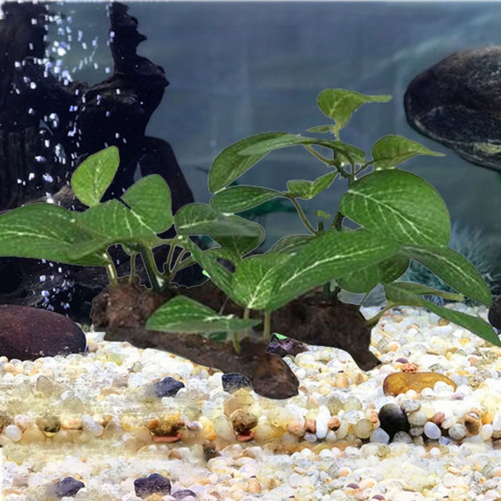 Silk Plastic Green for Fish Ta - Planted Aquarium Jar recension och pris