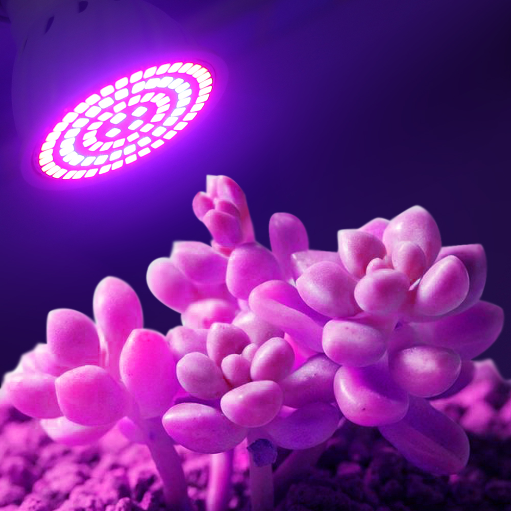 Led Grow Bulb 220V E27 60 80LE - Aquarium Plant Root Tabs recension och pris