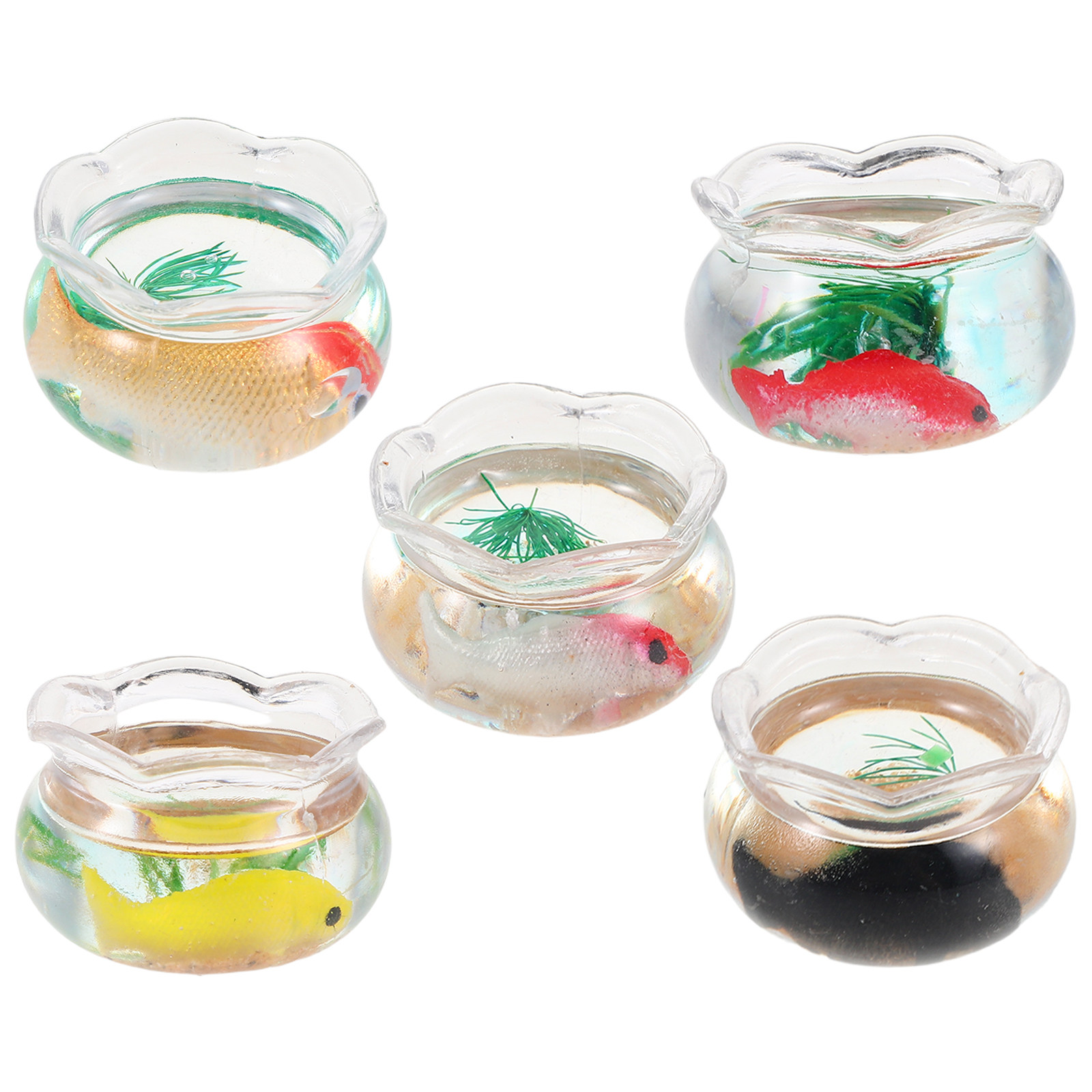 5Pcs Mini Fish Bowl Small Roun - Planted Aquarium With Fish recension och pris