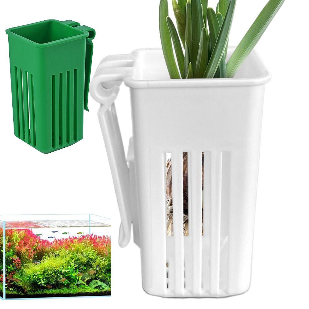 Plastic Aquarium Plant Basket  - Aquarium Plant Easy To Grow recension och pris