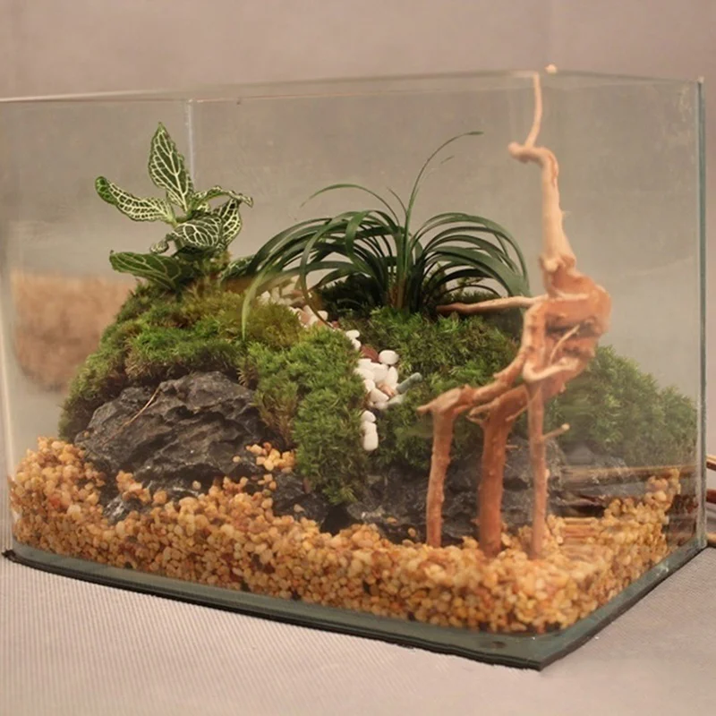 Natural Tree Trunk Driftwood A - Aquarium Plant Root Tabs recension och pris