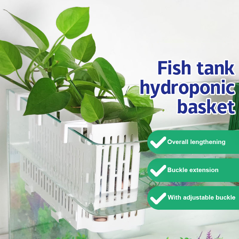 【F】Fish Tank Hanging Planter A - Planted Aquarium With Fish recension och pris