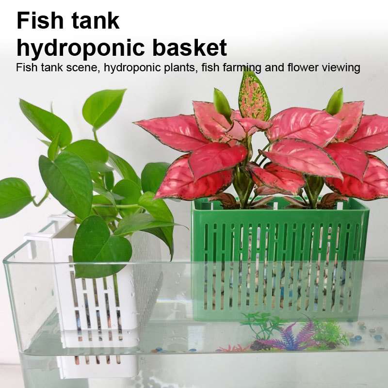 【F】Fish Tank Hanging Planter A - Planted Aquarium With Fish recension och pris